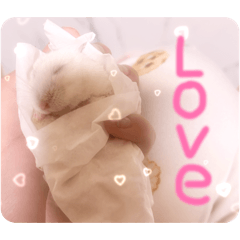 yua_20260503170803