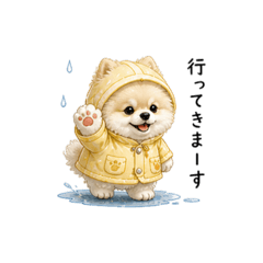 yumi_20260503171123