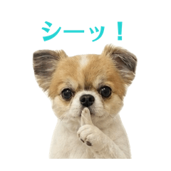 kento_20260503171201