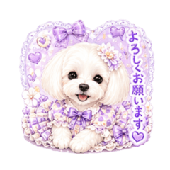 Office MAIGODOG_20260503160859