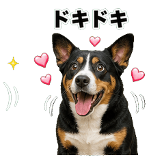 恩特布山犬 問候貼圖 - AG