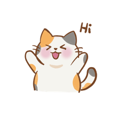 Samsi cute cat