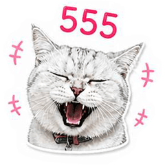 Nomtoon the Cat