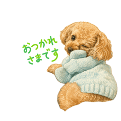 Teto_20260503165443