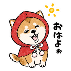 Little Red Shiba