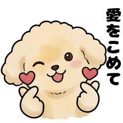 Daily Life of a Fluffy Toy Poodle
