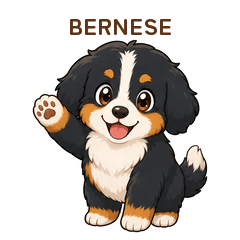 Gentle Bernese Daily Stickers