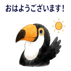 Toco Toucan - Daily Chat Stickers