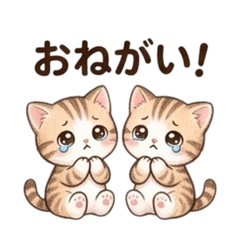 Maron and Coron: Daily Twin Cats