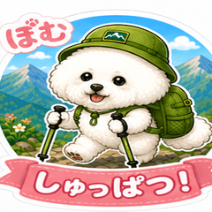 Pom Hiking