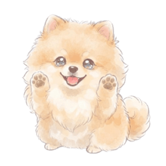 Pomeranian Days 1