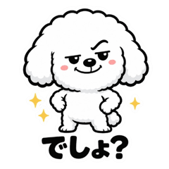 Bichon Frise's Honest Reactions