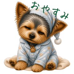 Yorkshire terrier MAME