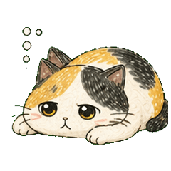 三色貓的每一天