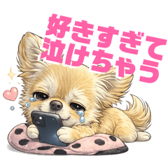 Smiking Chihuahua