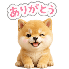 "Our Shiba Inu" that you can use forever
