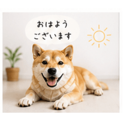 A cute Nordic-style Shiba Isticker set.