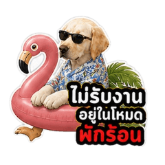 Monthong_Hey Bro_20260502012033