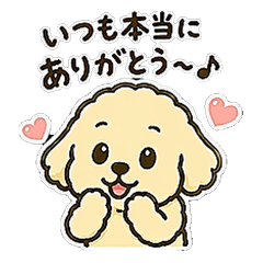 Maltipoo Bear2