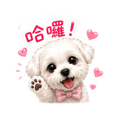 小天使妞妞寶