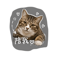劉泡芙的貼圖
