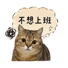 大哥小弟不想上班