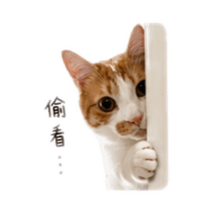 自家小孩篇