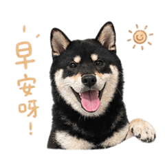 炭寶2.0