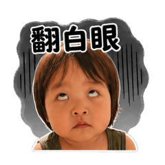 樊寶寶（搞怪修正版）