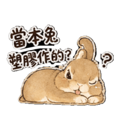 RabbitBabby