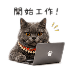五小桐上班中