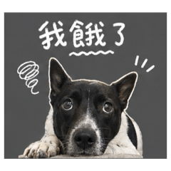 牛奶的貼圖2
