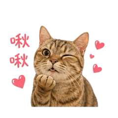 胖嘟嘟的花兒