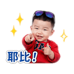 小龍珠綜合