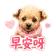 Momo（紀念版）