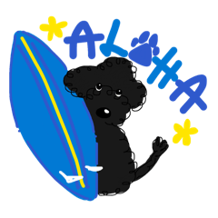 Portie loves surfing!