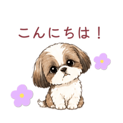 anko_20260503175113