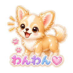 Puffy Glossy Chihuahua Days