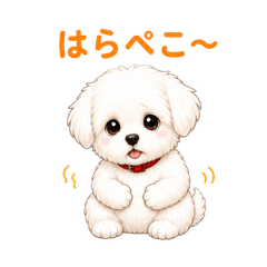 Fluffy White Puppy Stickers-01