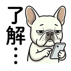 Low Energy Frenchie [Daily Replies]