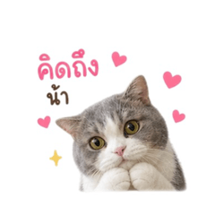 Pungpung_20260501171044