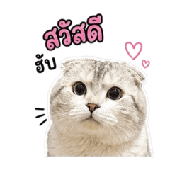 khungkhao