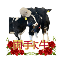 USHIshikakatan_20260503175907