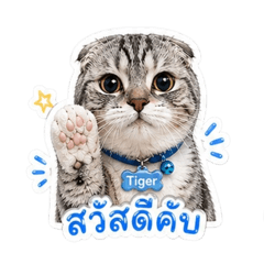 Minmin_story_20260430192210