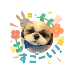 OBA_20260503182900