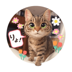 himawaritoneko_20260503182006