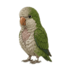 Fluff & Mood: Bird Vol.1