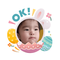 cham_20260503183337