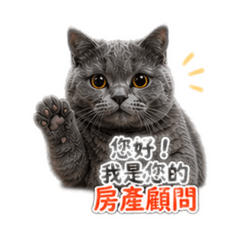 遠見小秦