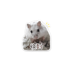倉鼠小狸2